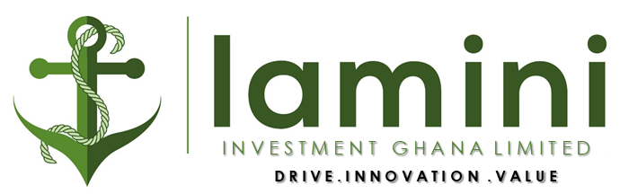 Lamini Investments